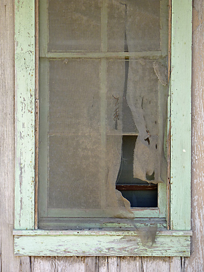 Caryl Gaubatz